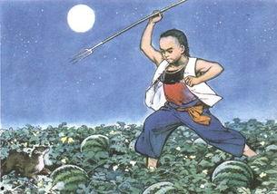 阿猹吃瓜的作品,揭秘娱乐圈背后的秘密与真相